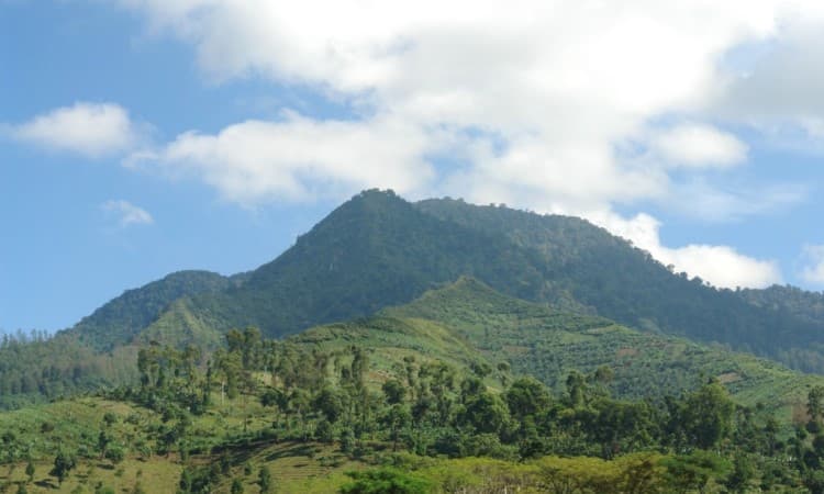 View Terbaik